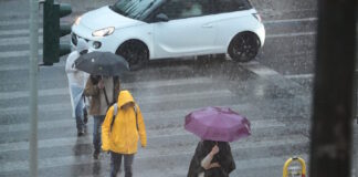 vroxi 9 1200x630.jpg