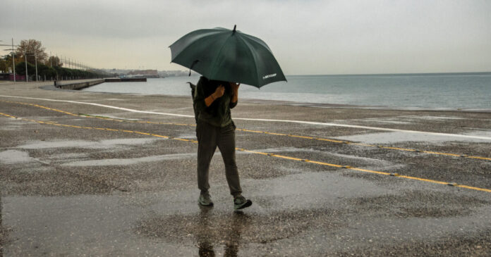 vroxi eurok 3 1 1200x630.jpg