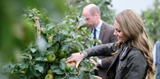 william kate 1200x630.jpg