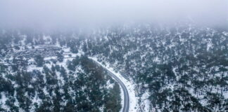 xionia1 1200x630.jpg