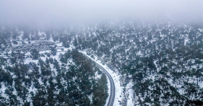 xionia1 1200x630.jpg