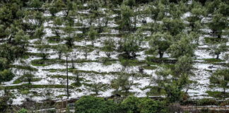 xionia2 1200x630.jpg