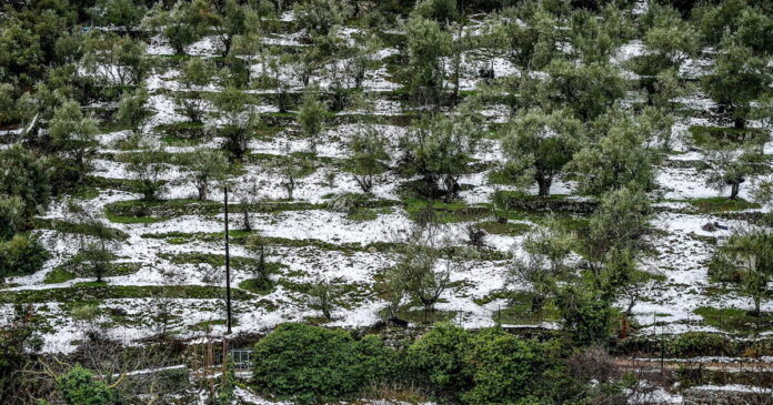 xionia2 1200x630.jpg