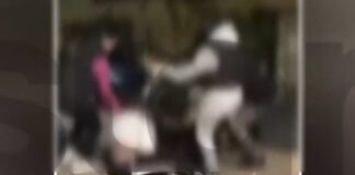 xylodarmos 1 1200x630.jpg