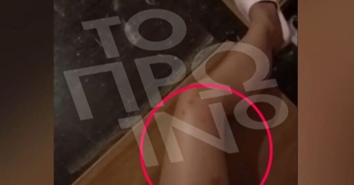 xylodarmos 1200x630.jpg