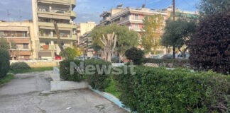 xylodarmos 15xronou2 26112025 1200x630.jpg