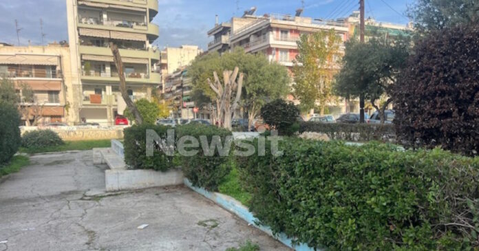 xylodarmos 15xronou2 26112025 1200x630.jpg