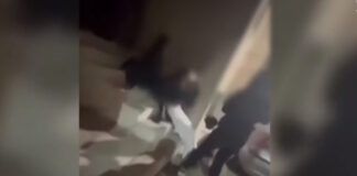 xylodarmos peristeri 1200x630.jpg