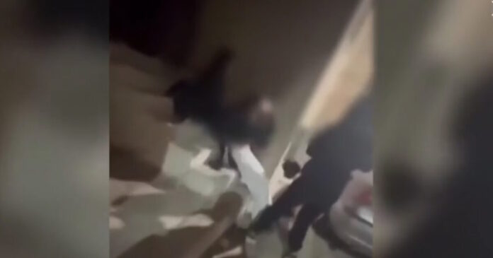 xylodarmos peristeri 1200x630.jpg