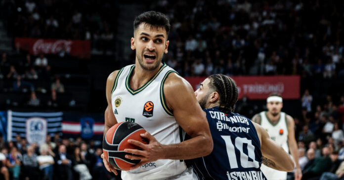 yurtseven 1200x630.jpg