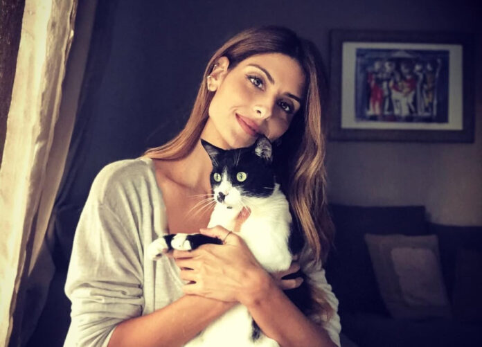 0f07fded4d59aedb3ef762fc0dc78166 L.jpg