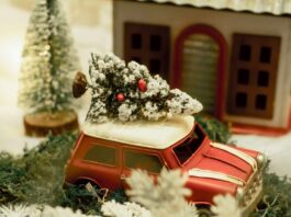 1764979845 Dwro Xristougennwn 1.jpg