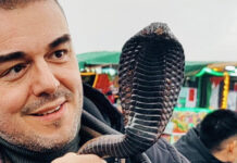 1a028c5d31974756d8128510c7ea9e09 L.jpg