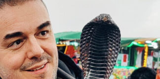 1a028c5d31974756d8128510c7ea9e09 L.jpg