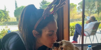 243fdf385df3f1bc8c4a2841c972f141 L.jpg