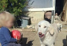 2xronos zakintyhos 1 1200x630.jpg