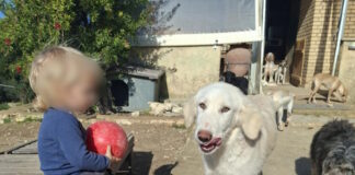 2xronos zakintyhos 1 1200x630.jpg