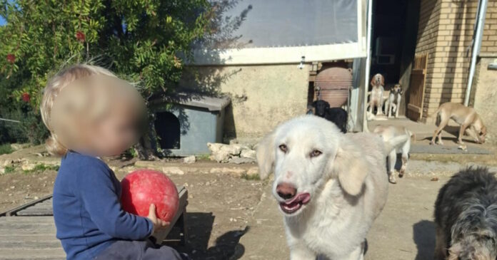 2xronos zakintyhos 1 1200x630.jpg 2xronos zakintyhos 1 1200x630.jpg