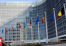 33d8ad95 commission og.jpg