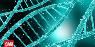 4371c879 dna strands og.jpg