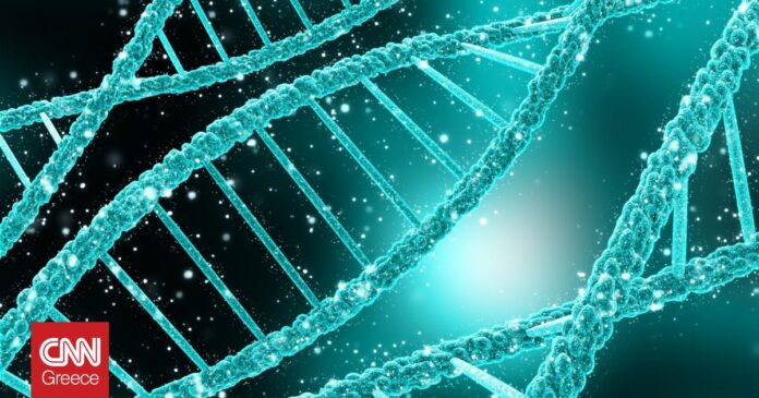 4371c879 dna strands og.jpg 4371c879 dna strands og.jpg