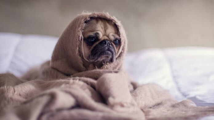 514515145145841858.jpg 514515145145841858.jpg