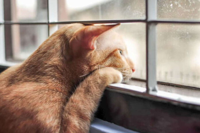 546145814584158.jpg 546145814584158.jpg