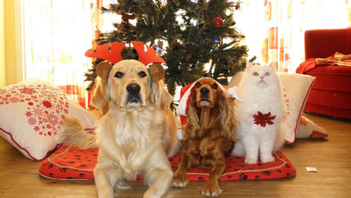 58585858585858585858585858584158.jpg 58585858585858585858585858584158.jpg