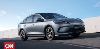 6e5cabca byd seal 5 dmi 1 og.jpg