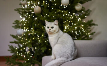 715d58b15ecd0bffb02f3c5df283005f L.jpg