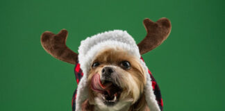 7aed6ec9b2d54a07fdea5273cbde2058 L.jpg