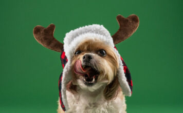 7aed6ec9b2d54a07fdea5273cbde2058 L.jpg