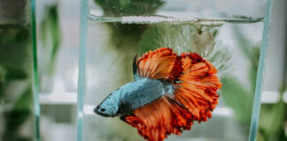 7c14ec42743a2965832e5c4ddc8094df L.jpg