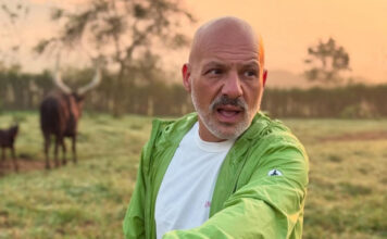 97b0d13ca0f5039c31b4d8d104d59aef L.jpg