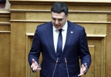 Basilis Kikilias 1.jpg