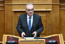 Nikos Papathanasis 2.jpg