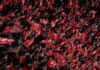 OLYFANS1 1200x630.jpg