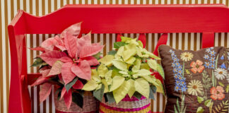 a20c27d4b68ce227c765c078e7574258 L.jpg