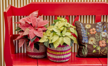 a20c27d4b68ce227c765c078e7574258 L.jpg