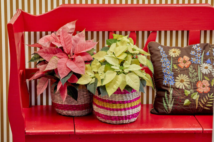 a20c27d4b68ce227c765c078e7574258 L.jpg a20c27d4b68ce227c765c078e7574258 L.jpg