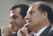 adonis georgiadis thanos plevris 28122025 1200x630.jpg