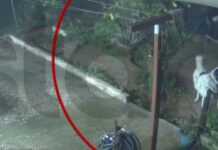 agios dimitrios skylos 27122025 1200x630.jpg