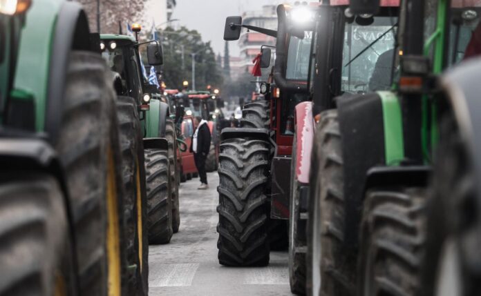 agrotes 1 1.jpg agrotes 1 1.jpg