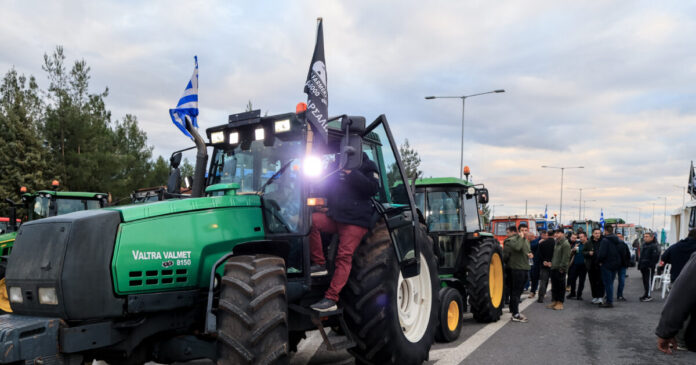 agrotes 1 1200x630.jpg