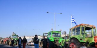 agrotes 2 3 1200x630.jpg