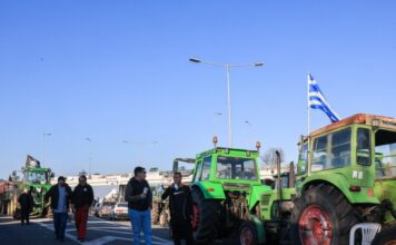 agrotes 2 3 1200x630.jpg