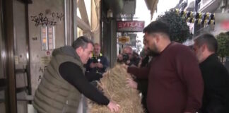 agrotes 4 1200x630.jpg