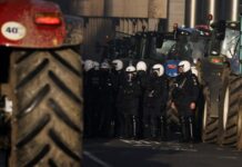 agrotes 9 1200x630.jpg