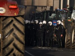 agrotes 9 1200x630.jpg