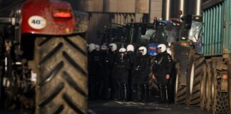 agrotes 9 1200x630.jpg